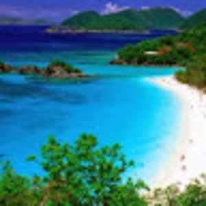 Meet your Posher, Asha